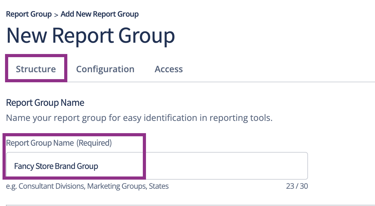 2-3. Structure_Report Group Name.png